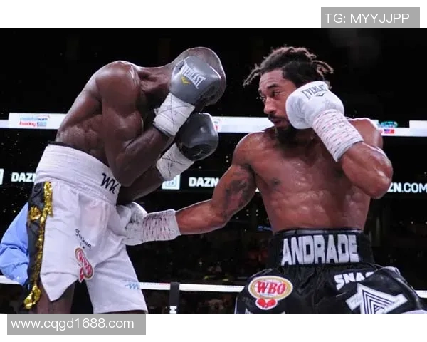 拳击选手为何青睐足球明星背后的故事与启示